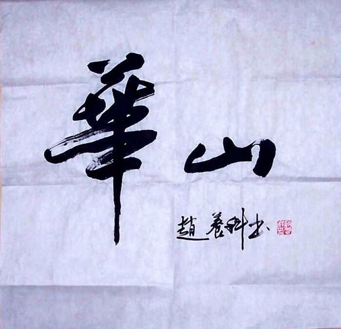 赵养科作品赏析