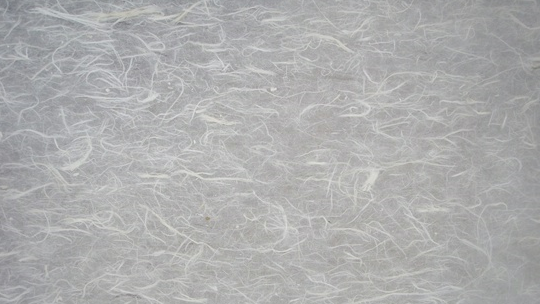 四尺清水云龙宣