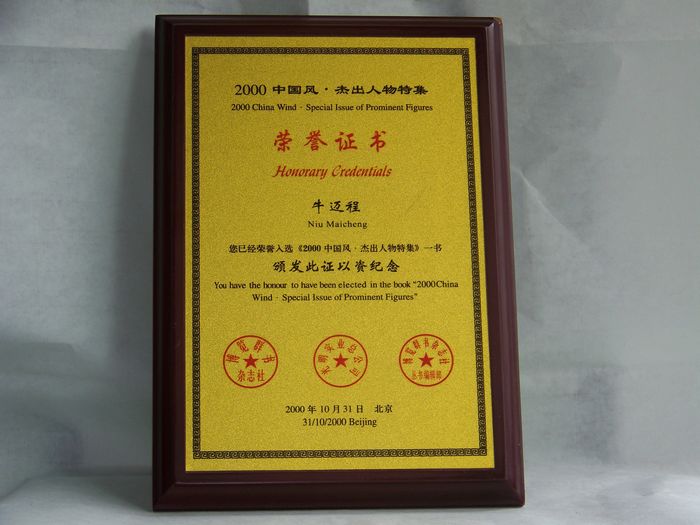 2000年中国风杰出人物特辑收录