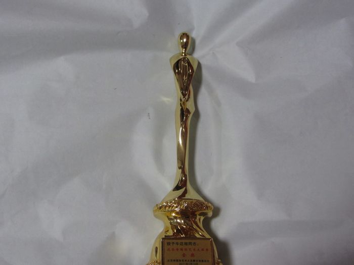 2011年3月达芬奇国际艺术.金奖